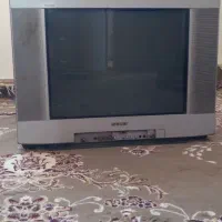 تلویزیون