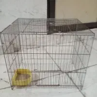 قفس|لوازم جانبی حیوانات|سنندج, |دیوار