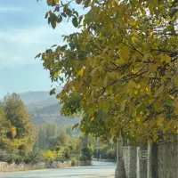 600-متر-زمین-با-جواز-سبو-لواسان