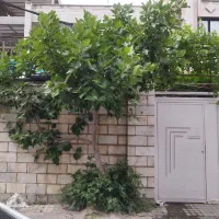 ملک-مسکونی-ویلایی-حیات-دار100-م-فروش-فوری