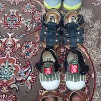 کفش|کفش و لباس بچه|مریوان, |دیوار