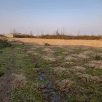 2700مترزمین-فخب-خیابان-نوروزی