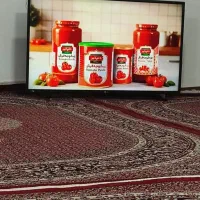 تلویزیون ال ای دی|تلویزیون و پروژکتور|کامیاران, |دیوار