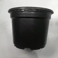 تعداد زیادی گلدان مناسب گلخانه و نهال و...