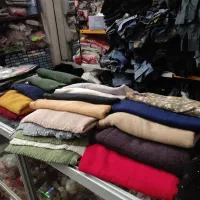 قناری|پرنده|سرپل ذهاب, |دیوار