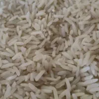 پخش عمده