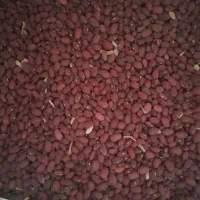 لوبیا قرمز تمیز