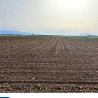 زمین-آبی-کشاورزی-بین-قصرشیرین-وسرپل-ذهاب
