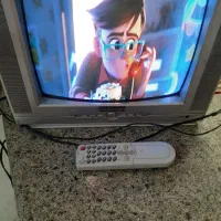 تلویزیون ۱۴ اینچ باکنترل نو