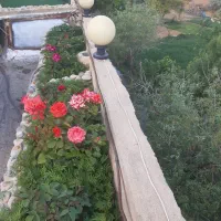 سوییت مبله مهدیشهر|اجارهٔ کوتاهمدت آپارتمان و سوئیت|مهدی شهر, |دیوار