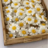 شمع|صنایع دستی و سایر لوازم تزئینی|اصفهان, پوریای ولی|دیوار