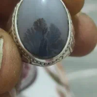 انگشترشجر|جواهرات|ساوه, |دیوار