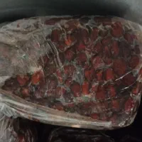 خرمای مرداسنگ درجه یک|خوردنی و آشامیدنی|تربت جام, المهدی|دیوار