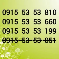 0915-53-53-810