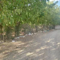 فروش-باغ-قدیمی-آبسرد