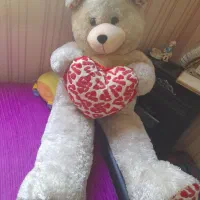 خرس ۱/۵ متری