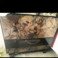 بخاری در حد نو|بخاری، هیتر، شومینه|رشت, خمیران زاهدان|دیوار