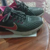 کفش|کیف، کفش، کمربند|سقز, |دیوار