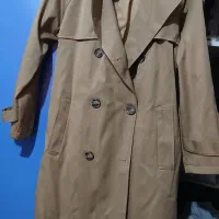 پالتوبارونی