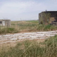 فروش باغ پسته|فروش خانه و ویلا|زنجانرود, |دیوار