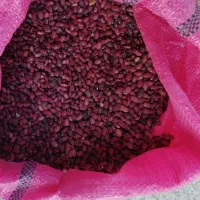 لوبیاقرمز درجه یک