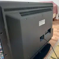 تلوزیون