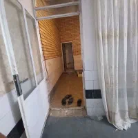 اجاره