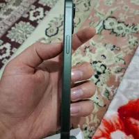 آیفون 13نرمال|موبایل|قدس, هفت جوی|دیوار