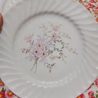 فنجان  و بشقاب پلو خوری  و پیش دستی