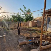 باغ.شاهرود، روستای مغان.جهت سرمایه گذاری|فروش زمین و ملک کلنگی|شاهرود, |دیوار