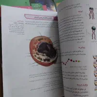 فروش کتاب دهم تجربی نو|کتاب و مجله آموزشی|شاهین دژ, |دیوار