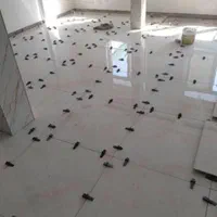 بنا ساختمان وکاشی وسرامیک 0 /100|خدمات پیشه و مهارت|اهواز, شریعتی جنوبی|دیوار