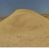 کاه سفید کندم در شهرستان گرمی