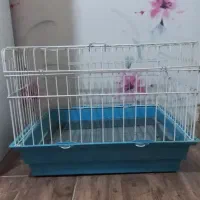 قفس خرگوش و خوکچه و همستر