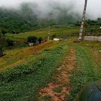 600 متر زمین ییلاقی نزدیک بافت|فروش زمین و ملک کلنگی|آلاشت, |دیوار