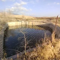 فروشی  باغ کشاورزی با درختان میوه در روستای تیل