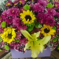 سبد گل برای همین امروز تازه تازه