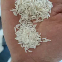 برنج هاشمی اصل گیلان ،طارم خوشپخت خوشمزه|خوردنی و آشامیدنی|ری, شهید غیوری (ابن باویه)|دیوار