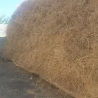۲۰۰الی۱۵۰بسته ال باغی درجه یک