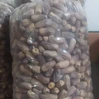 خرما سفید ،خرما سنگ اشکن،