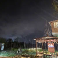 سرایدار خانم تنها