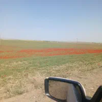 میل تعادل اکسل پژو