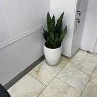 اجاره-مغازه-تجاری-افسریه-شمالی