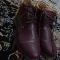 کفش زنانه نو