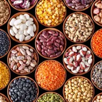 استخدام حسابدار