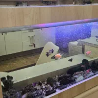 آکواریوم|ماهی|مشهد, هفت تیر (آب و برق)|دیوار