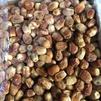 خرما زاهدی