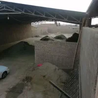 دامشهر.قلعه. دامداری انباری سوله 1300مترتجاری|فروش دفتر صنعتی، کشاورزی، تجاری|سلفچگان, |دیوار