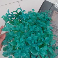 مجسمه.گل.درختچه.سبزه مصنوعی|گل مصنوعی|سبزوار, نواب صفوی|دیوار