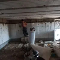 شاگرد سنگکاری نیازمندیم|استخدام معماری، عمران و ساختمانی|خرمدره, |دیوار